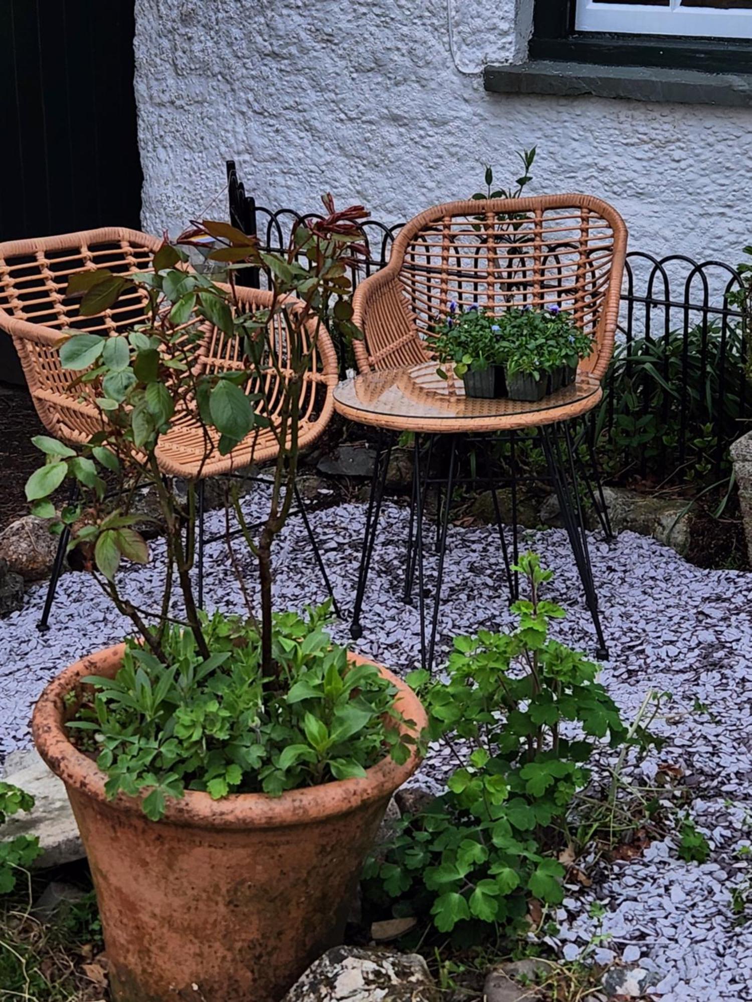 Blea Tarn Farmhouse B&B Ambleside Dış mekan fotoğraf